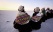 Cholitas au Salar d'Uyuni
