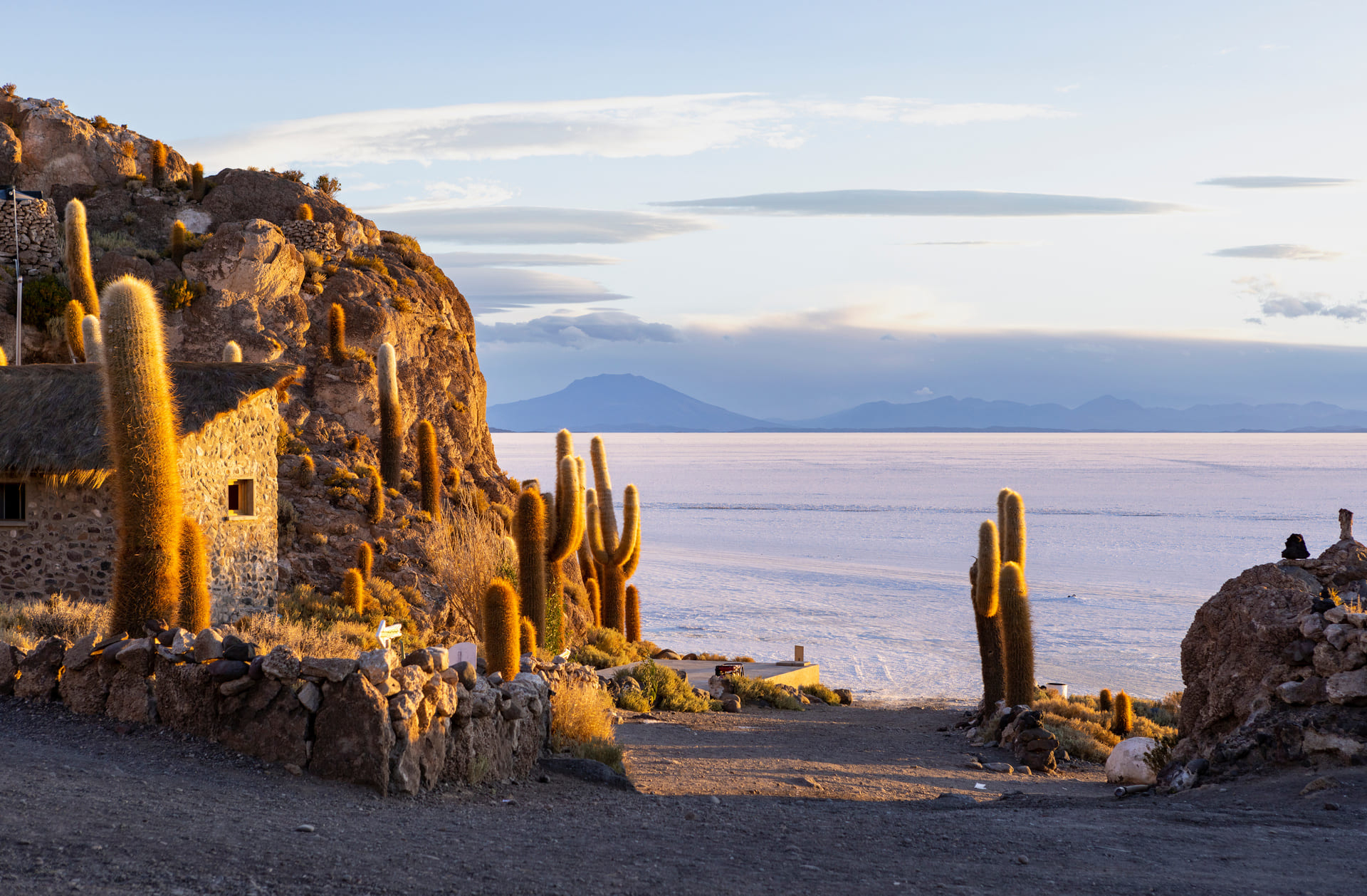 isla-incahuasi-bolivie