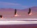 Trois flamants roses qui volent au dessus de la laguna Colorada - Bolivie