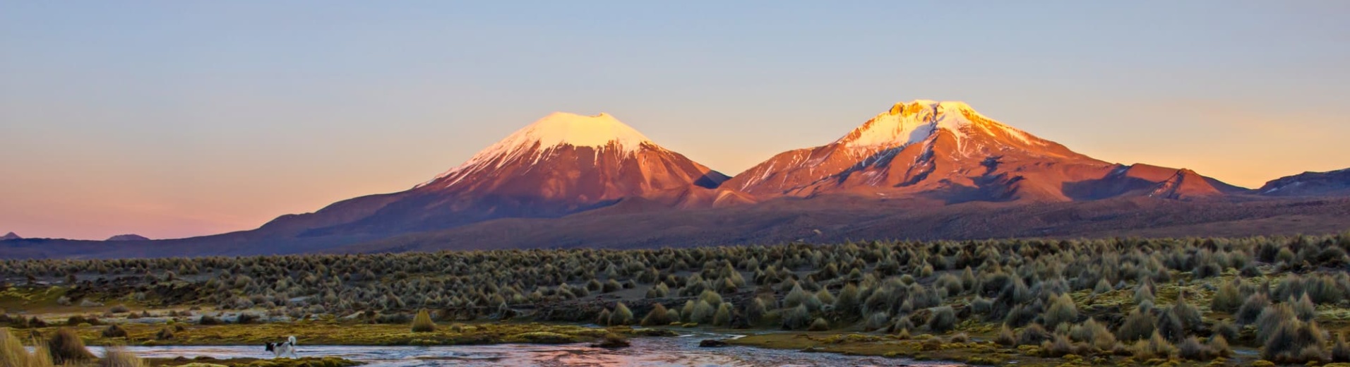 visiter-sajama-bolivie