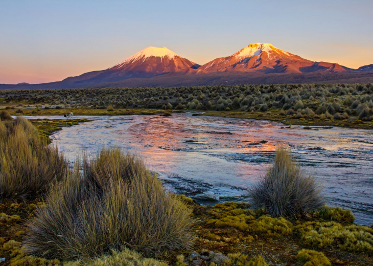 visiter-sajama-bolivie