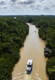 Croisière en Amazonie