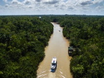 Croisière en Amazonie