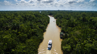 Croisière en Amazonie