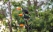voyage-bolivie-circuit-amazonie-reve