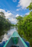 Pirogue dans la région de Trinidad