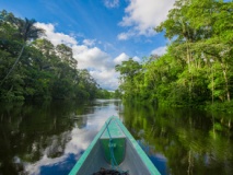 Pirogue dans la région de Trinidad