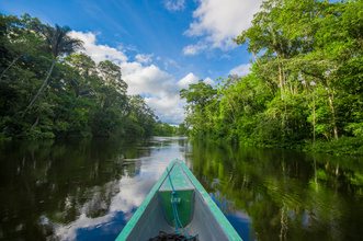 Pirogue dans la région de Trinidad
