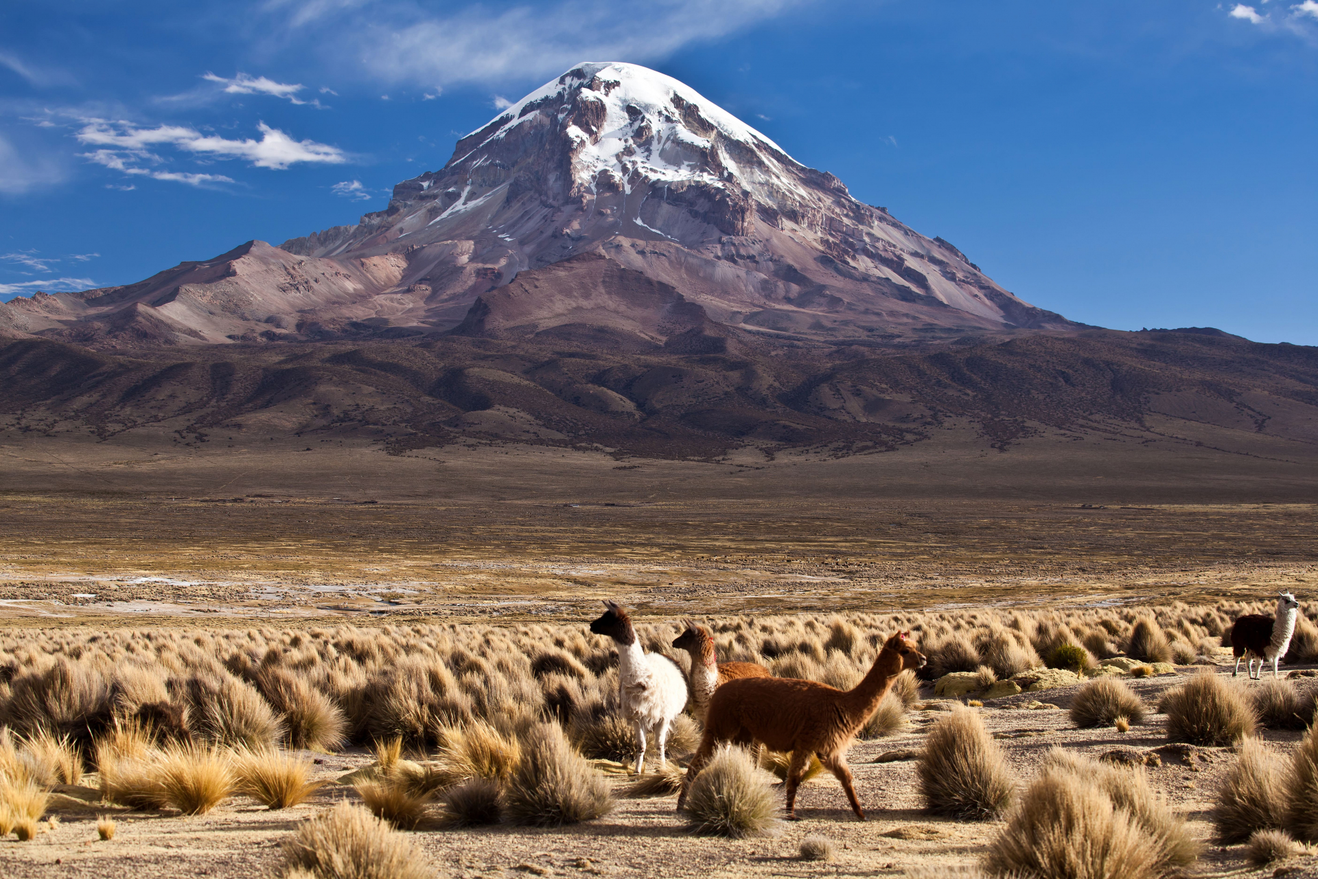 sajama-volcan-bolivie