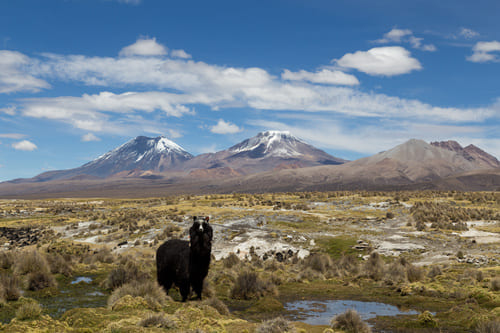 Parc national de Sajama
